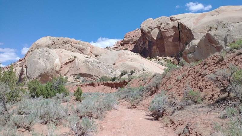 Red sandstone formations tilted at 45 degrees - worth the trip.