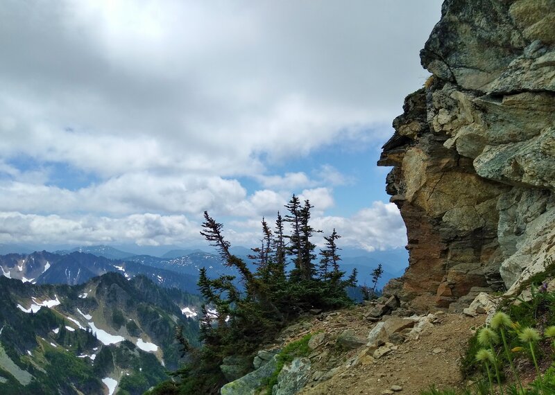 Johnson Mountain Trail winds around the Johnson Mountain summit block cliffs.