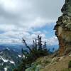 Johnson Mountain Trail winds around the Johnson Mountain summit block cliffs.