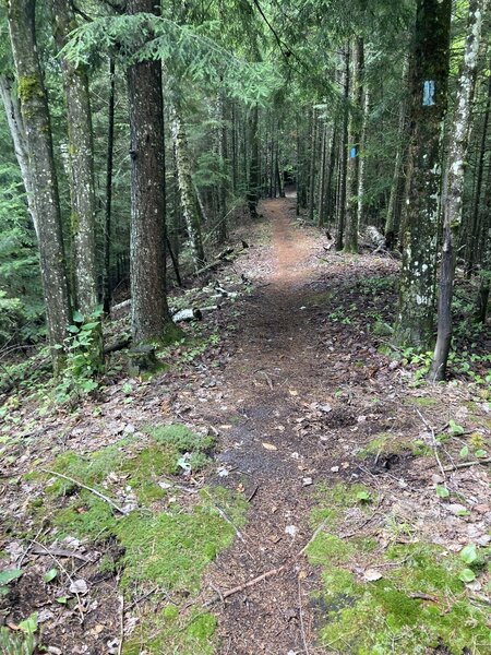 Lightly used trail, had all to ourselves