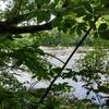 End of the Beach Trail