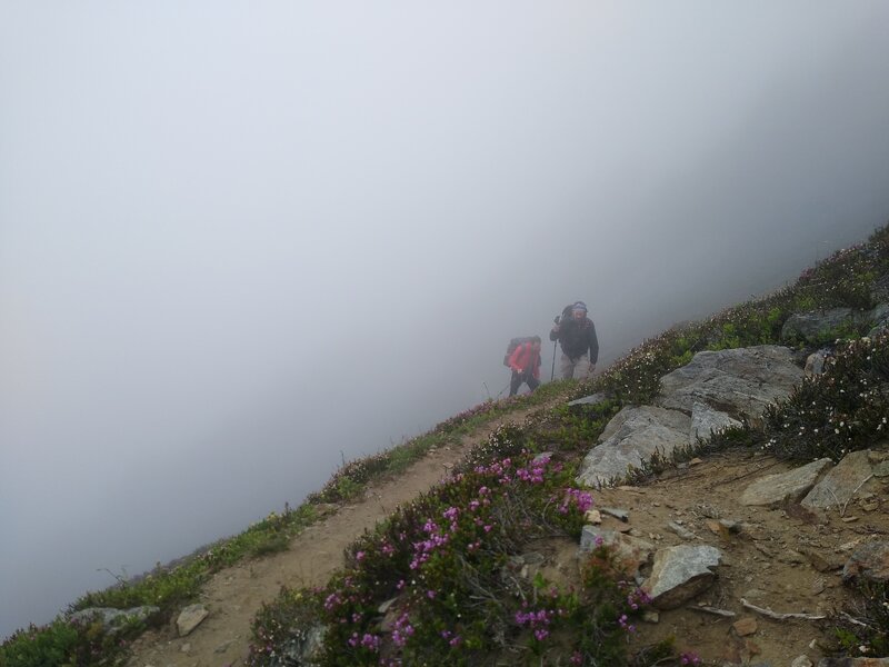 A few more steps to the top of the knife edge ridge summit of the Blue Lake High Trail. Watching from a roost on the summit.