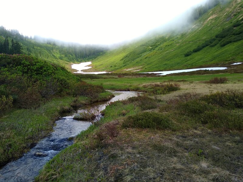 Headwaters of the Little Wenatchee River meander through Meander Meadows.