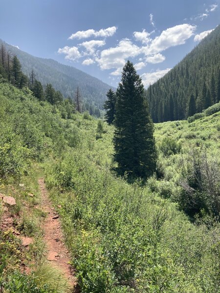 Rocky Fork Trail about 2 miles up.