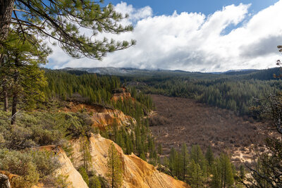 The Diggins from Rim Trail.