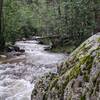 Upstream from log crossing.