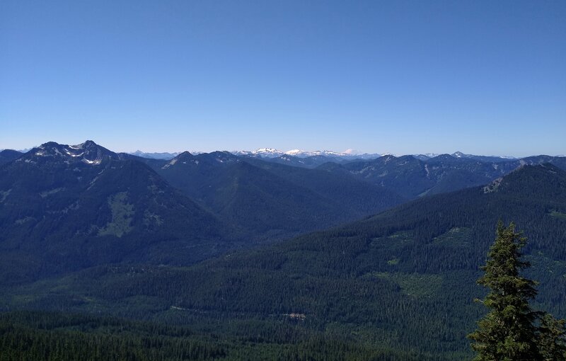 Snow covered Mt. Rainier, 14,411 ft., in the far distance (center right) is constantly in the view to the southwest along Little Wenatchee Ridge Trail.