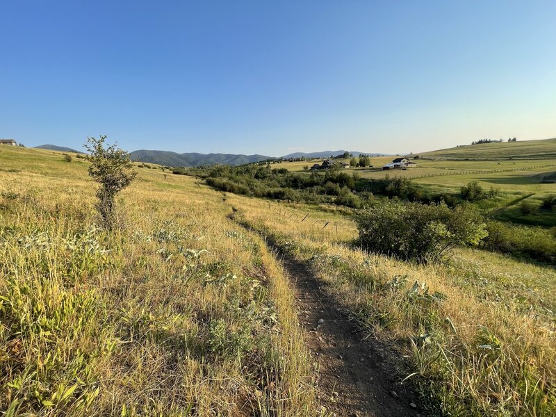 Fields of grass and shrubs