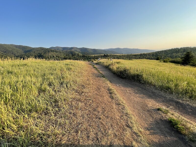 Wider section of trail at the connection with Triple Tree.