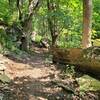 Path through the woods and rocks on Wudchuck Run in Swope Park.