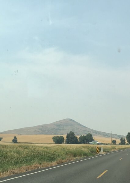 Steptoe Butte from a distance