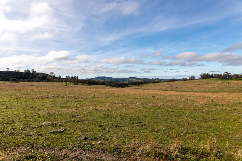 Meadow south of OK Corral