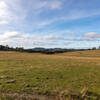 Meadow south of OK Corral