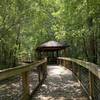 Boardwalk leading to the Town Creek Park pond.