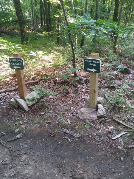 End of the orange trail, turning around in the loop back on the blue trail.