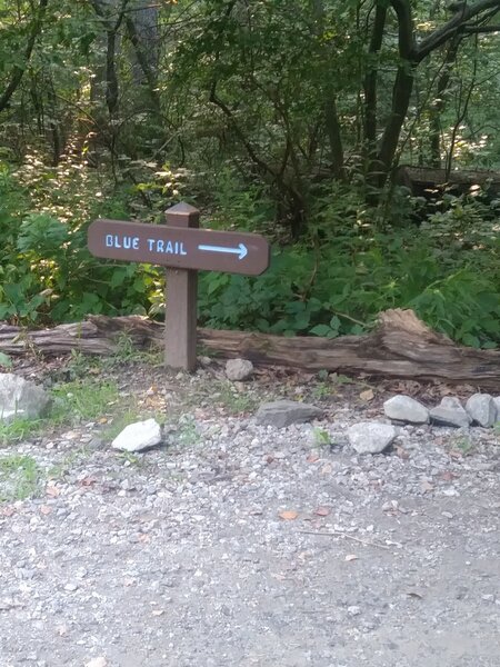 Trail start in the parking lot opposite from the porta potties.