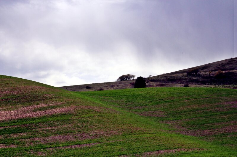 Steptoe Butte