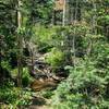 West Cisneros Trail runs along Custer Creek.