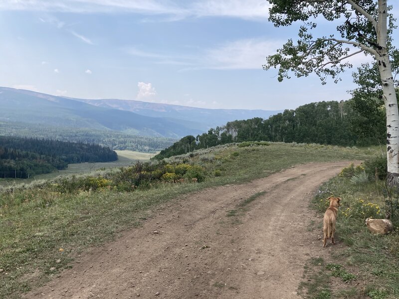 The views towards Gypsum Creek after you exit the trees at the top of the trail. (Hiked from Sylvan Lake Road up).