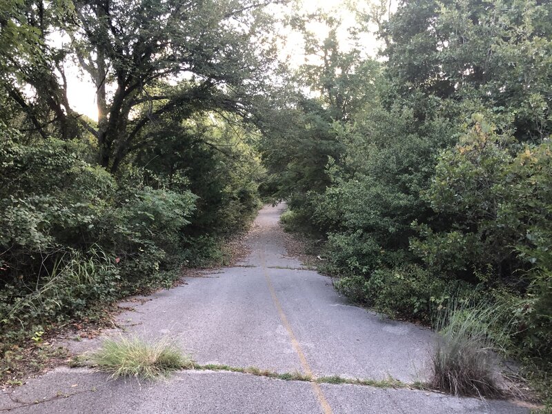 Trail view.