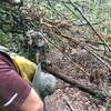 Forney Creek Trail at a stone wall built in the 1930s by the CCC,  Aug. 24, 2020.