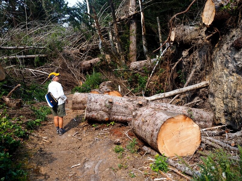 Substantial trail maintenance on the ridge crest.