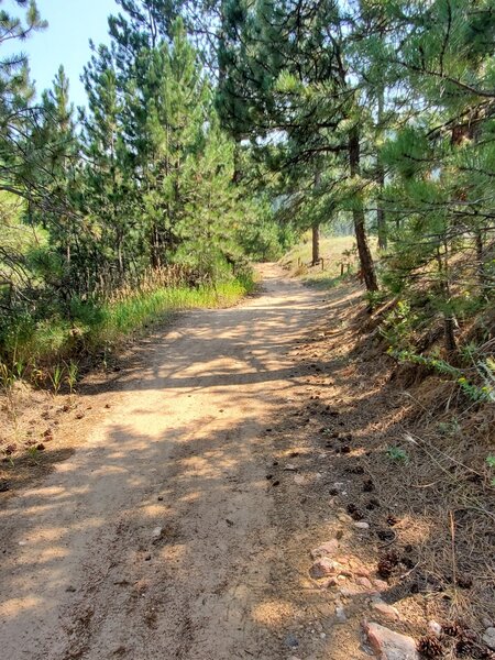 Two-track contouring up the hillside.