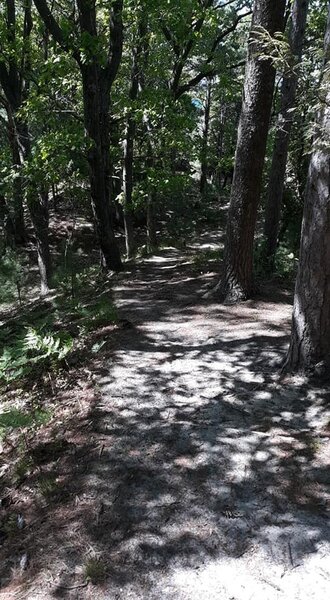 Easy trail to the campsites and Lake Michigan. Wonderful scenery!