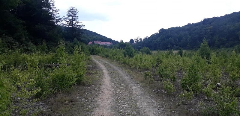 Trail along the dried lake bed at the Mountain Lake Lodge Conservancy area. This lake fills and drains often due to a fault line underneath. It is the only natural lake in the Southern Appalachians.