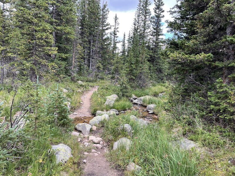 Trail near Sugarloaf camp