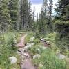 Trail near Sugarloaf camp