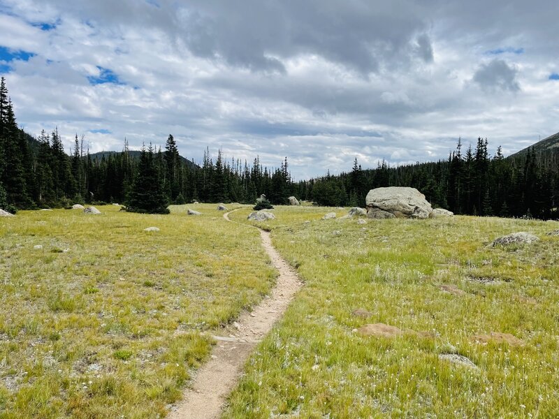 Trail near Sugarloaf camp.