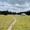 Trail near Sugarloaf camp.