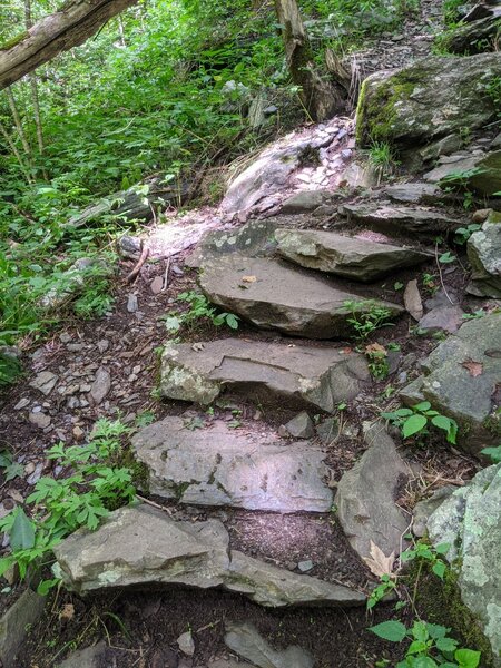 Narrow stone step path between end of South River Falls Road and the base of the falls.