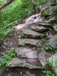 Narrow stone step path between end of South River Falls Road and the base of the falls.