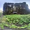 The Shelter up North Fork Sol Duc