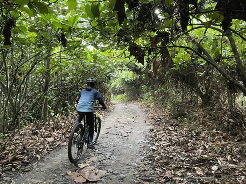 This is a shared trail for both hikers and bikers.