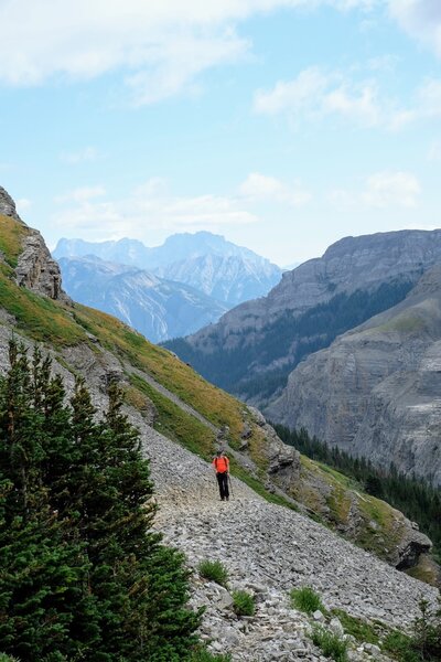 View on Mount Assiniboine.