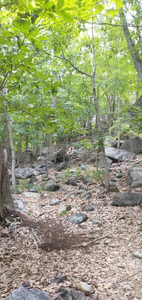 Facing uphill, a substantial grade at the Suffern end of the Suffern-Bear Mountain trail.