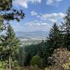 Heading down from the summit to Canfield gulch.