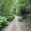 Heading up from Canfield Gulch.