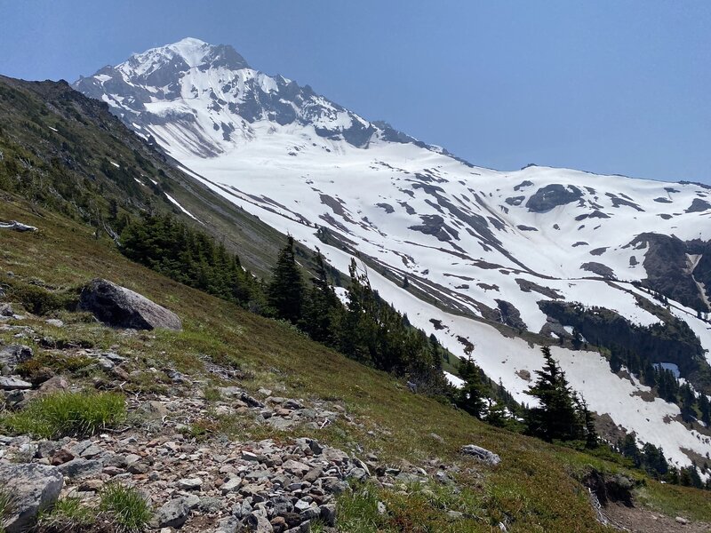 Southeastern side of Mount Hood just above McNeil Point.