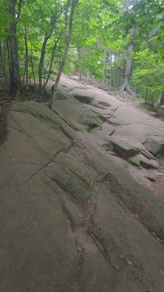 Rock Face in the middle of the trail - you have to hike several sections like this, some even steeper.