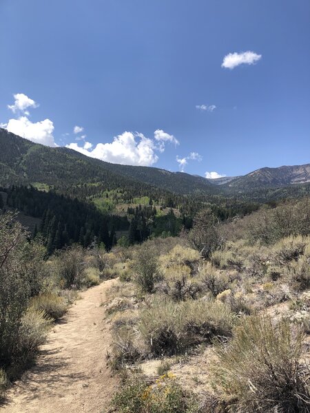 View of snake creek mountain area.