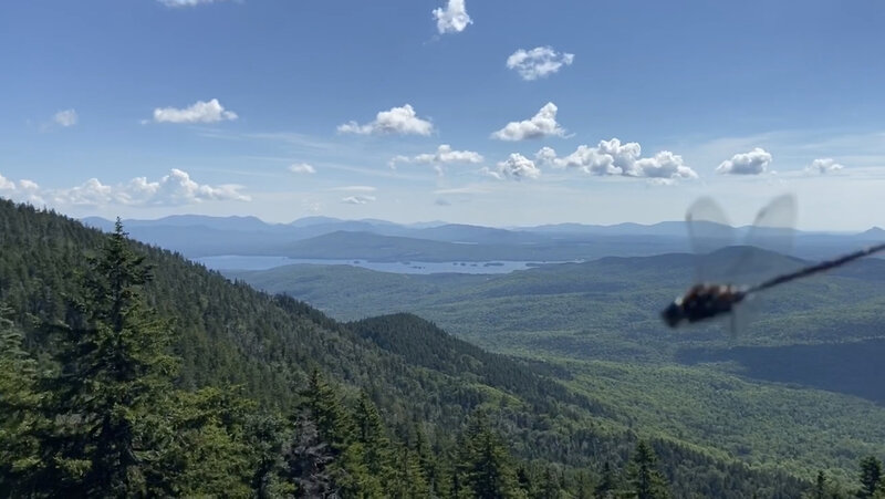 View from Big Moose Scenic Outlook ( with a dragonfly photobombing :D ).