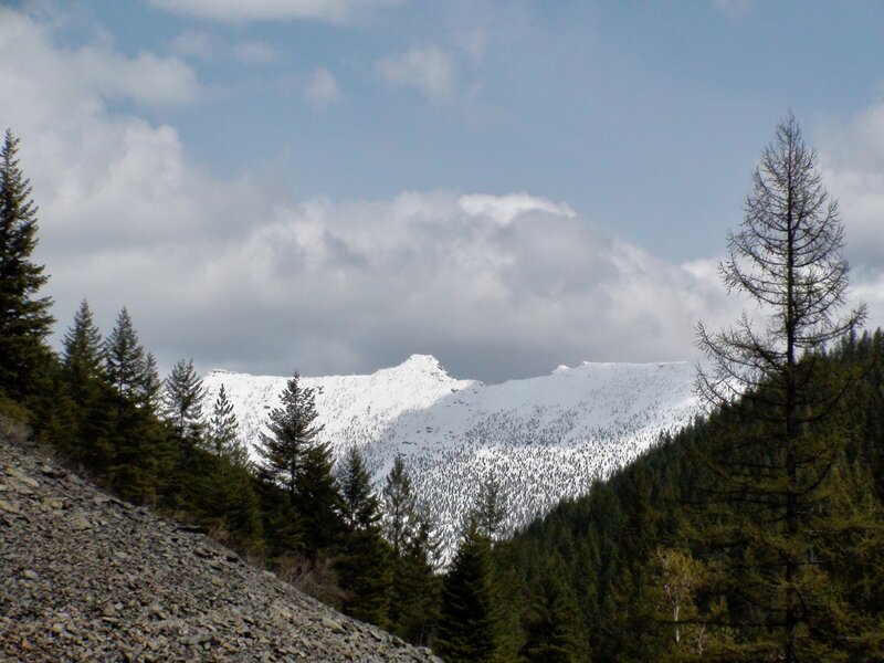 Carney Peak from the trail in May.