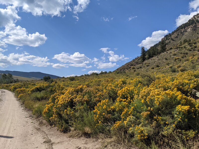 Dirt road from Two Elk Trailhead back to Minturn