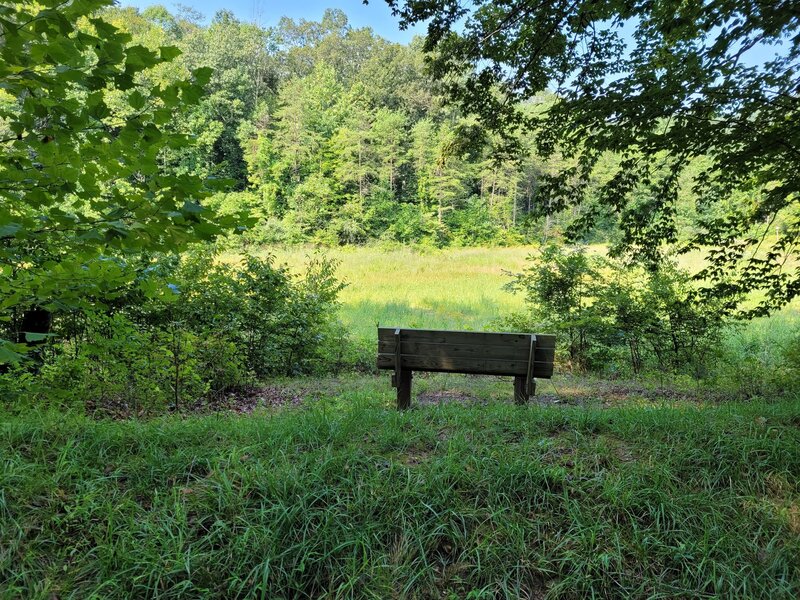 Bench seating by meadow area.