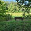 Bench seating by meadow area.