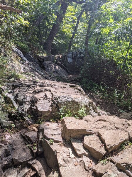 Rocky trail on Lewis Falls Trail approaching the spur trail.